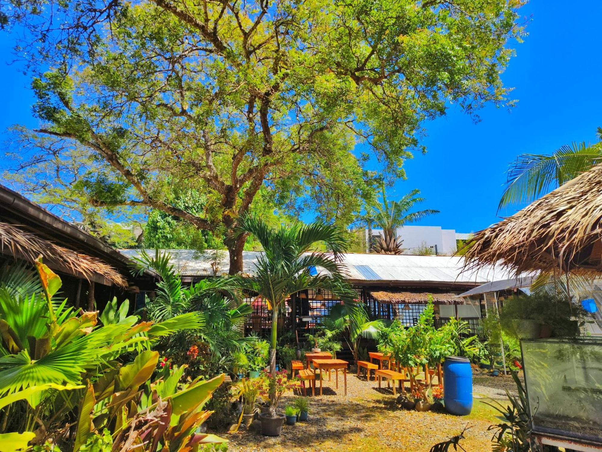 Lokal Hut Bed And Breakfast Puerto Princesa Εξωτερικό φωτογραφία